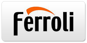 ferroli thermenwartung