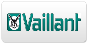 Termenwartung Vaillant